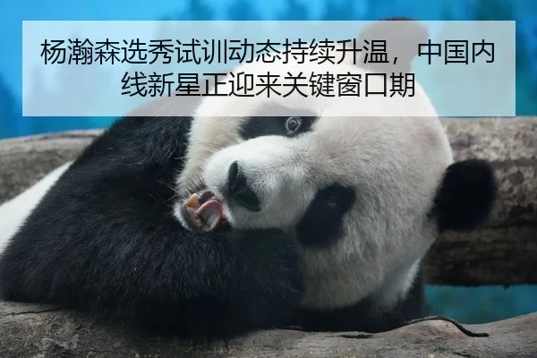 杨瀚森选秀试训动态持续升温，中国内线新星正迎来关键窗口期